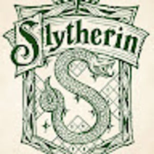 Meet your Posher, Bailey